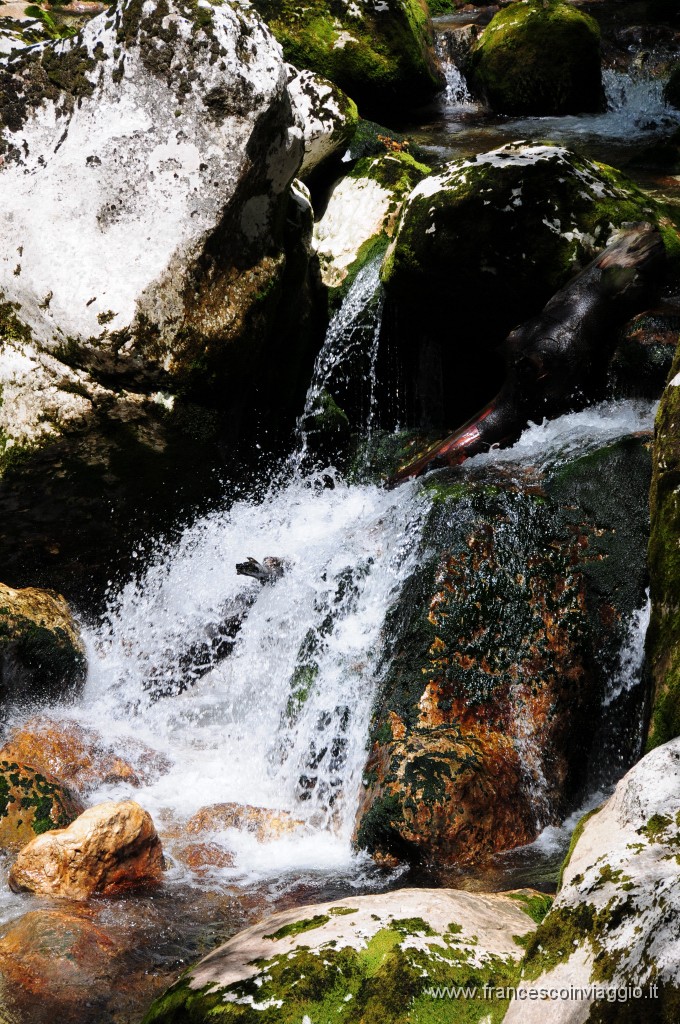 Cascate di Savica 2011.07.30_10.JPG